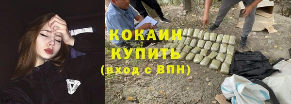 соль курить ск Алзамай