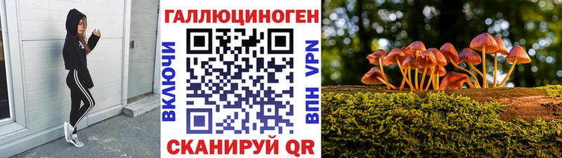 Псилоцибиновые грибы MAGIC MUSHROOMS  blacksprut зеркало  Жирновск  сколько стоит 