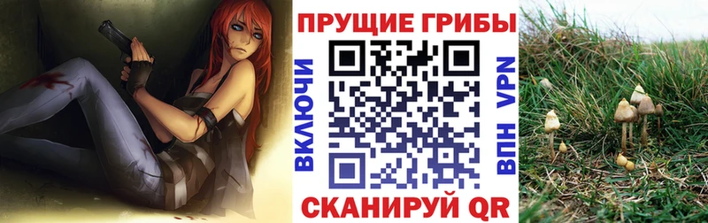 Псилоцибиновые грибы Cubensis Жирновск